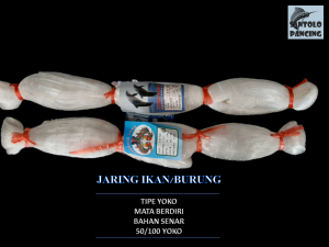 Jaring Ikan Jaring Burung Tipe Yoko 50/100