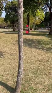 Resetting Metal Shooting Practice Target   for Outdoor