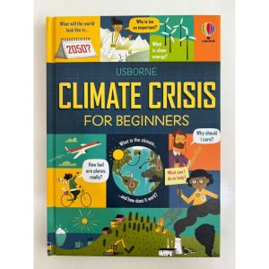 ( hardcover) Usborne Business Economics etc for Beginners hardcover books