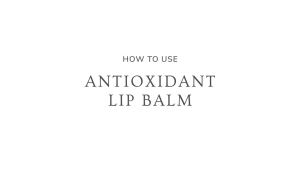 Antioxidant Lip Balm – Natural Moisturizing Lip ment with Cocoa Butter Sea Buckthorn & Buriti Fruit Oil – Filler-Free Formula for Hydrated Luminous Lips – 0.17 oz