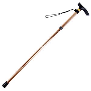 Tongkat Pemandu / Tongkat Jalan / Tongkat Daki Gunung / Tongkat Hiking Trekking Pole / Trekking Pole Tongkat Treking Gunung /Tongkat Jalan DMO AN02