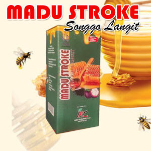 Madu Stroke Songgo Langit | Obat Stroke Paling Ampuh herbal