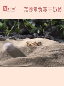YEE Freeze-Dried Cheese Treat for Hamsters  Sugar Glider Food  Hedgehog Treat  High Protein Calcium