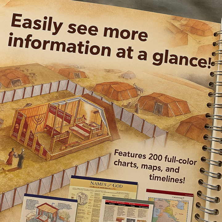 %E3%80%90Location%20Guide%E3%80%91Bible%20Charts,%20Maps%20and%20Timelines%20Easy%20Visual%20Guide%20for%20Understanding%20the%20Bible%20Perfects%20Gift%20for%20Christians%20-%20Image%204