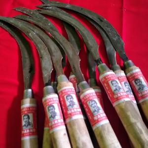 COD Arit Padi Geragaji Harga Per 1 Pcs