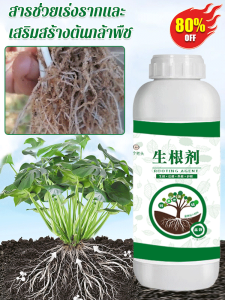 GIIKING สารป้องกันกำจัดเชื้อราช่วยเพิ่มประสิทธิภาพการเจริญเติบโตของรากพืชและต้นไม้เล็กในสวนป่าและอุปกรณ์เพาะเลี้ยง