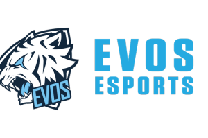 Sweater Hoodie Evos Anak-anak Dan Remaja Kain Tebal Umur 5-15 Tahun Bisa Bayar Di Tempat