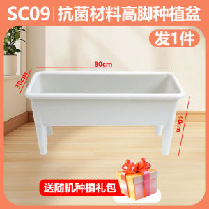 Flower Pot Box Large Rectangle Plant Pot Large Planter BoxAntibacterial for Succulents Vegetables 花盆