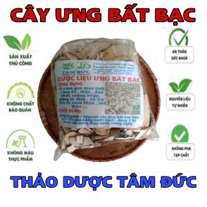100g cây ưng bất bạc sấy khô