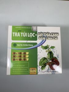 Hộp 40 gói Trà túi lọc dây thìa canh dây thìa canh cho người tiểu đường mỡ máu ổn định huyết áp giảm cholesterol