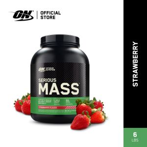 Optimum Nutrition Serious Mass Protein (6lbs)