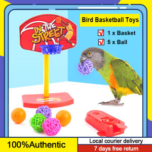 Bird Training Basketball Toy with 5 Balls Chew Toy for Parrot Cockatiel Lovebirds