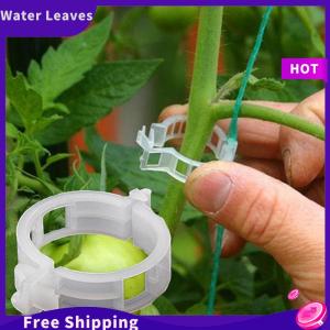 Water Leaves HONG 50Pcs Trellis คลิปมะเขือเทศรองรับเชื่อมต่อพืชผักตัวยึด