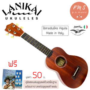 Paramount PE112 กีต้าร์ไฟฟ้า Strat 22 เฟร็ต ไม้อัลเดอร์ ปิ๊กอัพผสม HSS ซีรีย์ Stratosonic + ฟรีคันโยก ของแถม PS MUSIC