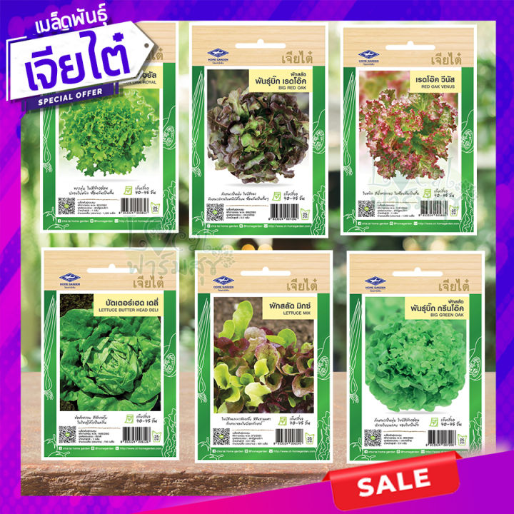 เมล็ดผักสลัดรวม เจียไต๋ กรีนคอส เรดโอ๊ค กรีนโอ๊ค ฟิลเล่ย์ คุณภาพเกรดเอ