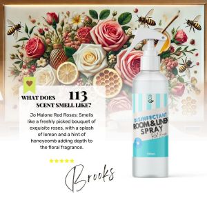 My Home 113 RED ROSES Premium Room and Linen Disinfectant Spray Paraben Free Car Bathroom Home