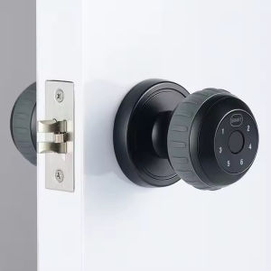 Holakay Smart Lock Fingerprint Passcode App Control Type-C Emergency Power Indoor Door Lock