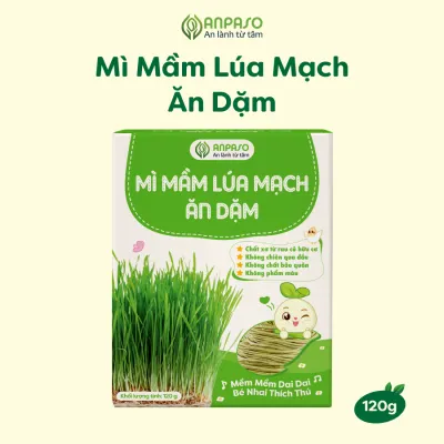 Mì Ăn Dặm Rau Củ Anpaso