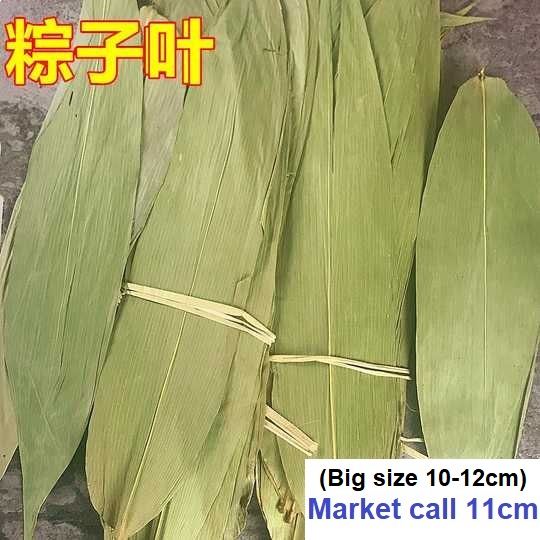 Bamboo Leaves 粽叶 竹叶 bamboo leave | Lazada Malaysia
