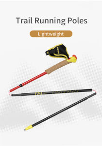 Gậy Trail Carbon Aonijie E4212 (1 cặp)