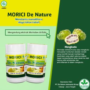 Obat Stroke Paling Ampuh: Penyumbatan Darah & Pengobatan Herbal