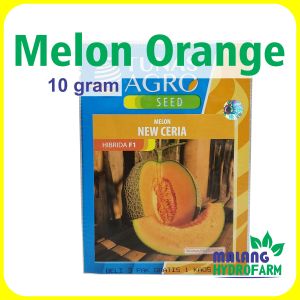 Benih Melon Orange New Ceria F1 10 gram Tunas Agro bibit biji buah merlin oren manis hidroponik hydroponik