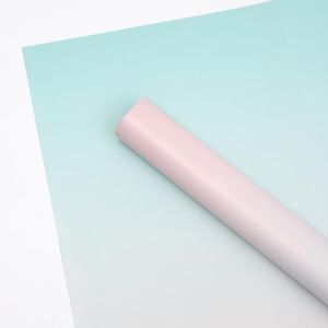 20 LEMBAR FLOWER WRAPPING RAINBOW WATERPROOF CELLOPHANE KERTAS BUKET PEMBUNGKUS BUNGA KB6174