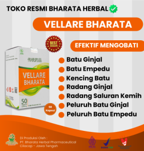 Obat Batu Ginjal - Batu Empedu - Kencing Batu - Gagal Ginjal - Terbaik VELLARE BHARATA 100% ORIGINAL
