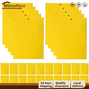【Winnereco】 แผ่นดักแมลงหวี่และแมลงวันผลไม้แบบเหนียว 30/50/100 ชิ้น ขนาด 8x6 นิ้ว สำหรับใช้ในสวนและบ้าน