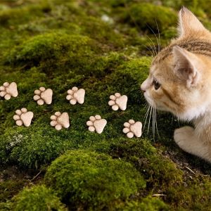 SNEAK 20pcs Landscaping Cat Paw Stepping Stones Resin DIY Cat Claw Ornaments Creative Lawns Garden Decorative Garden Lawns