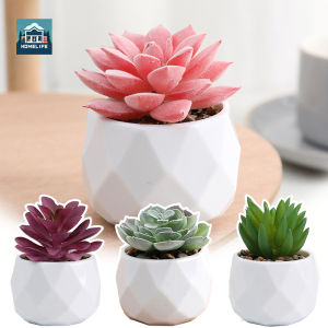 Artificial Succulent Bonsai Simulated Plant Potted Creative Green Plants Desktop Ornament Home Decor