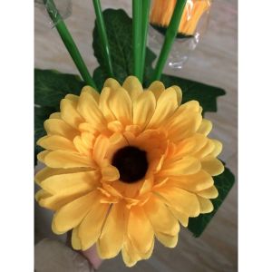 HOA đồnġ tiềṇ GIẢ .dùng trang trí nhà cửa .trang trí quán.nhà hàng .