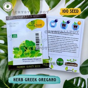 Benih Bibit Herba Greek Oregano Haira Seed - HERBA GREEK OREGANO