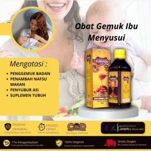 Obat Gemuk Untuk Ibu Menyusui Penambah Nafsu Makan Ibu Hamil Ibu Menyusui - KurmaQu
