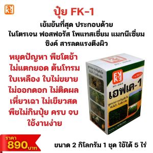 ต้นลำไย เป็นโรคจากเชื้อรา ใบไหม้ ใบจุด ผลเน่า รากเน่า ใช้แพนน่อน หยุดโรค+FK-1 ฟื้นฟู โตไว ผลผลิตดี
