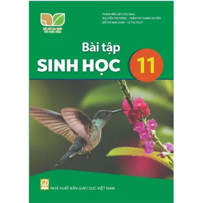 Bài tập Sinh học 11 - Kết nối Sgk