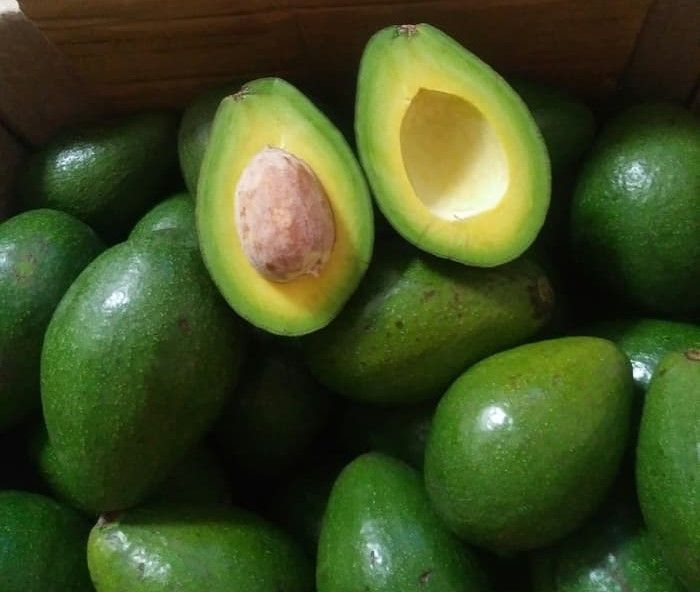 alpukat-mentega-1-kg-lazada-indonesia
