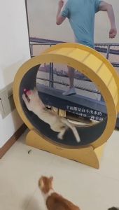 Cat Exercise Wheel Wooden Indoor Cat Running Wheel Silent Exercise Treadmill for Cats with Safety