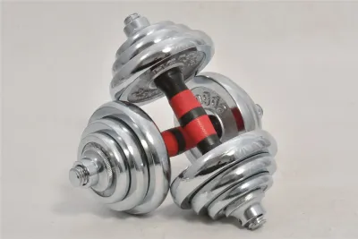 [BULKY] Chrome Dumbbell/Barbell Connection Set/Home Gym