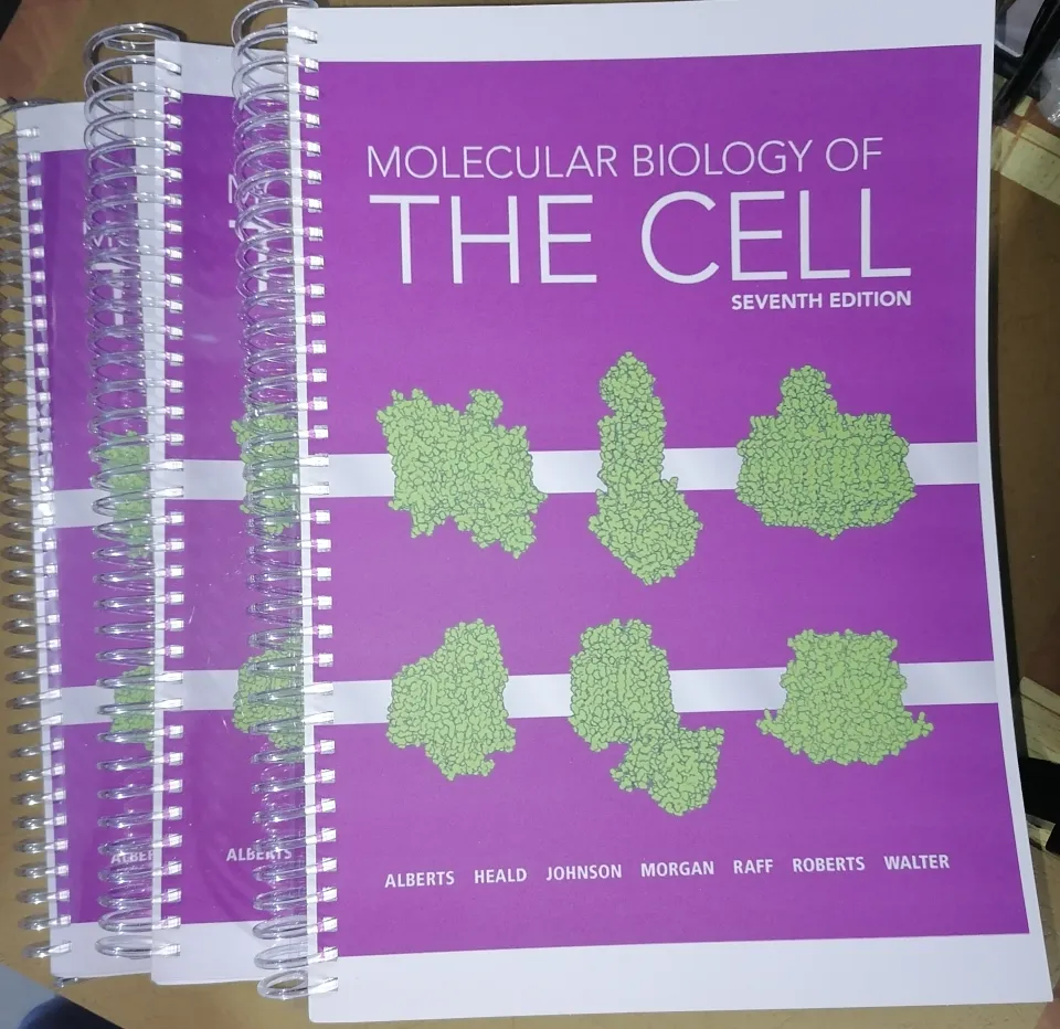 Molecular Biology of the Cell 7th Edition English Softbound