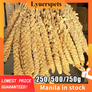 250/500/750g Yellow Spray Millet Parrot Bird Seeds Food for Bird Feeding