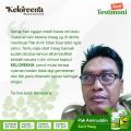 Obat Maag, Obat Untuk Penyakit Maag, Obat Asam Lambung Naik, Obat Tukak Lambung, Obat Untuk Penyakit Lambung, Obat Lambung Luka, Obat Penyakit Lambung, Obat Maag Dengan Keloreena. 
