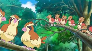 宠物小精灵U盘卡通国语发音神奇宝贝精灵宝可梦u盘车载高清优盘Pet Pok é mon USB drive cartoon Mandarin pronunciation Pok é mon Pok é mon USB drive car mounted HD USB drive