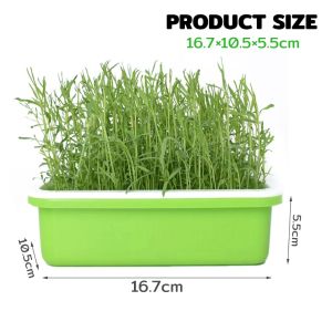 Nexlent Seed Germination Tray Double Layer Plant Peanut Bean Sprout Soilless Hydroponic Seedling Tray 1Set