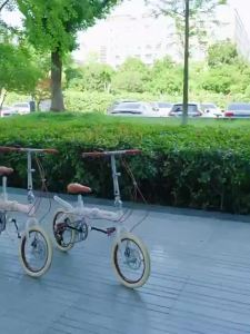 UrbanSpace SG- Folding Bike Small Wheels Ultra-Lightweight Portable Bike Fits in Trunk Geared Bicycle