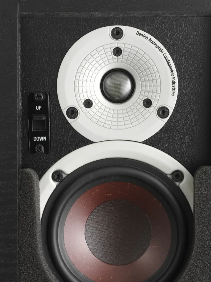 DALI Alteco C-1 Height Speaker (Black Ash) | Lazada Singapore