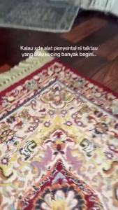 Cat Fur Remover Pembersih Buang Hilangkan Bulu Kucing Kar Remover Cat Fur Hair Remover