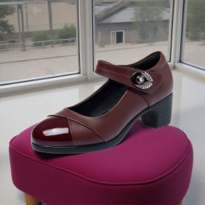 Free Shipping New Style WomenS Soft-Soled Flats With Velcro Closure And Medium-Thick Heels Suitable For Dancing