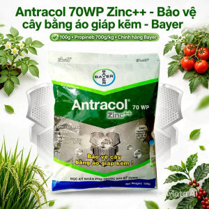 Thuốc Trừ Bệnh Antracol 70WP Bayer Chính Hãng (Gói 100g) - Đặc Trị Thán Thư Đốm Lá Rỉ Sắt Vàng Lá Cho Hoa Hồng Cây Cảnh.