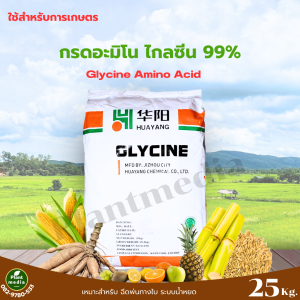 กรดอะมิโน ไกลซีน 99% Glycine Amino Acid ช่วยบำรุงตายอด ตาดอก บรรจุ 25 กิโลกรัม
